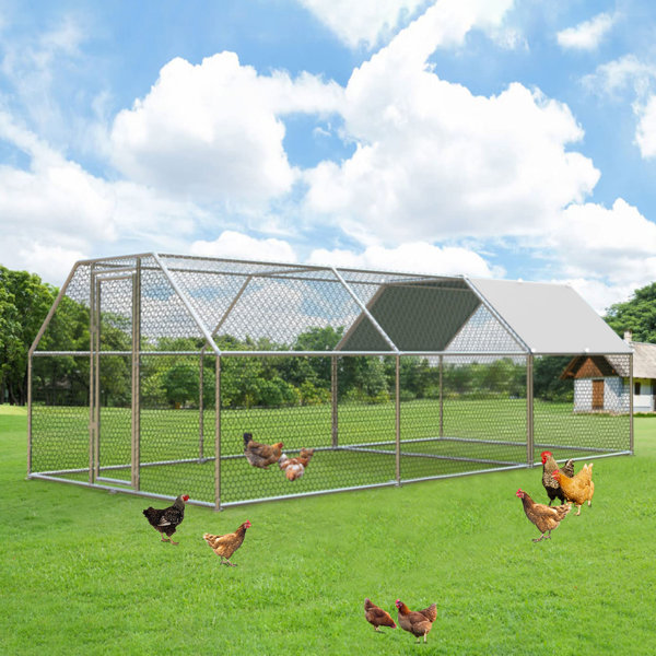 Tucker Murphy Pet™ Walk In Chicken Run Wayfair Canada